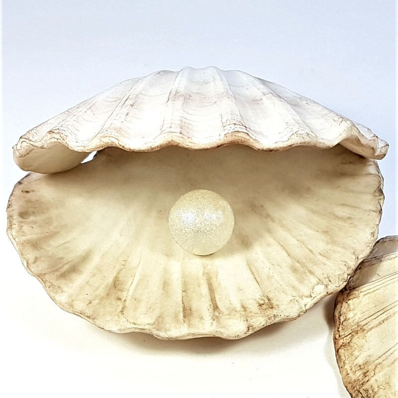 scallop shell and pearl