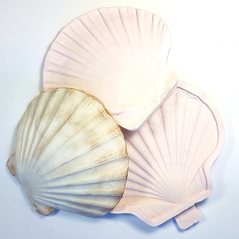 scallop shell and moulds