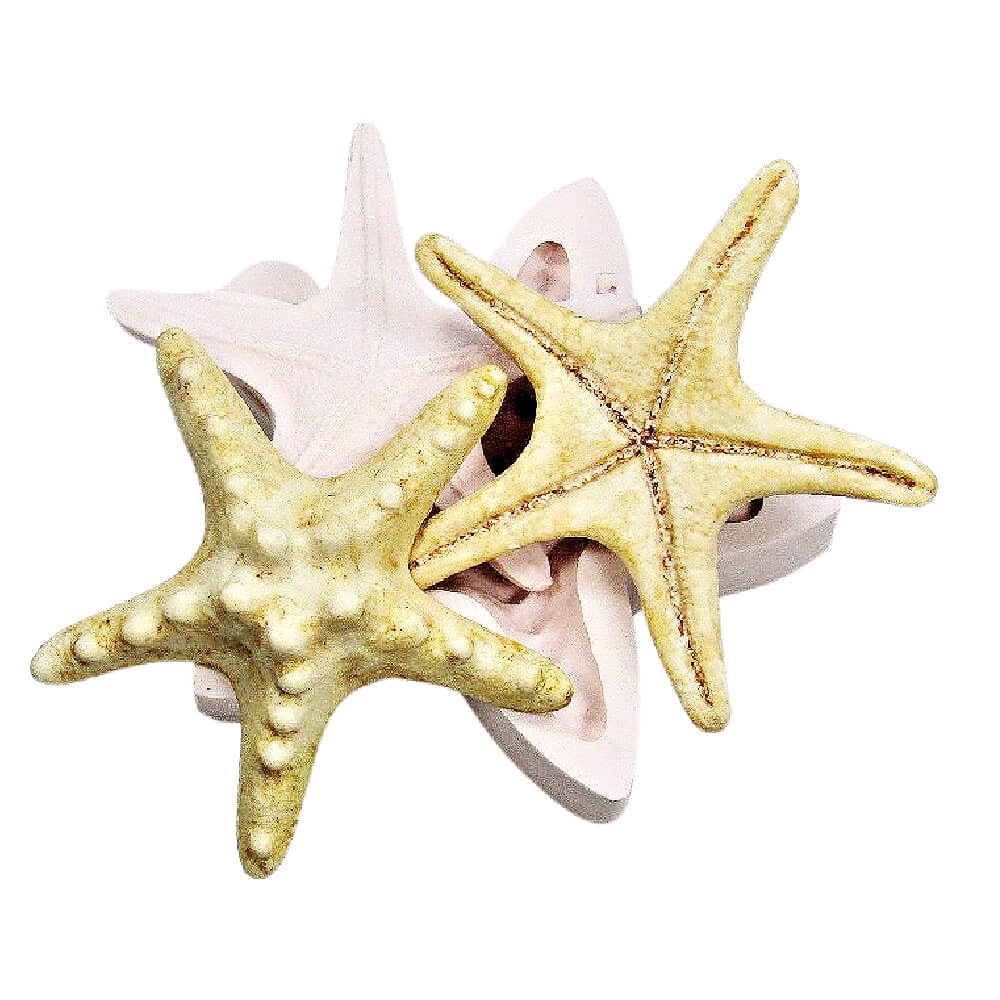 knobbly starfish