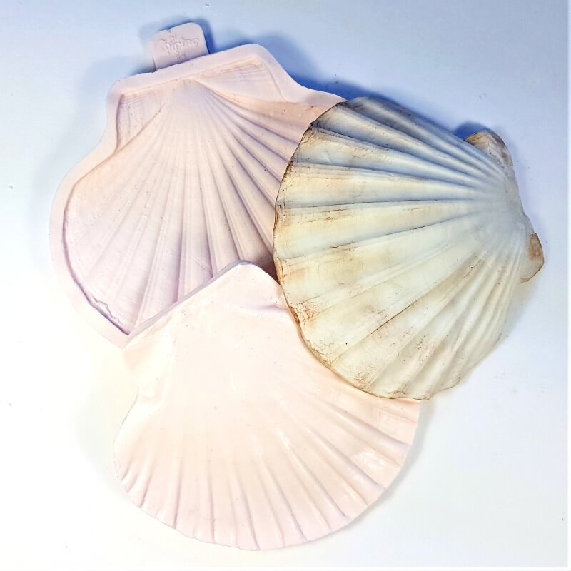 Scallop shell mould